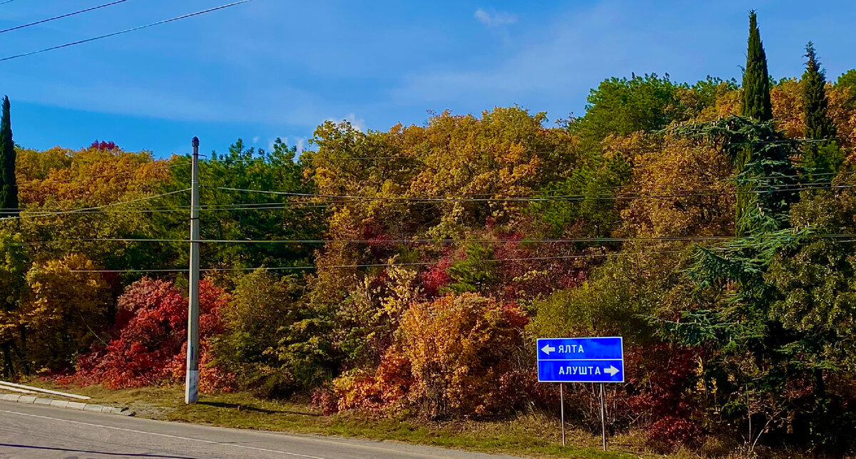 Южнобережное шоссе в Крыму. 