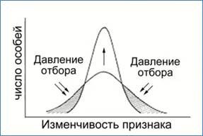 Факторы эволюции: основные движущие силы