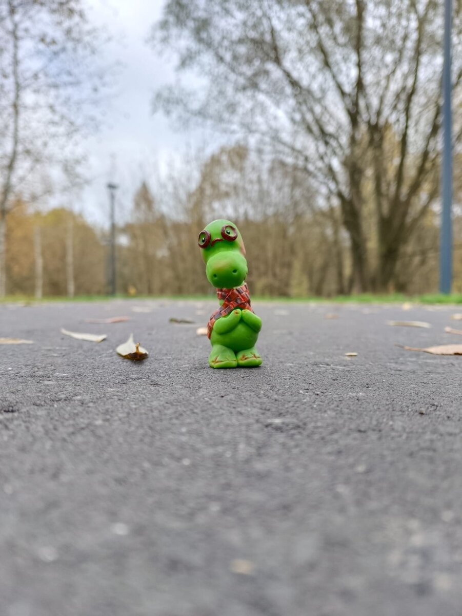 Бинги по дороге к реке.