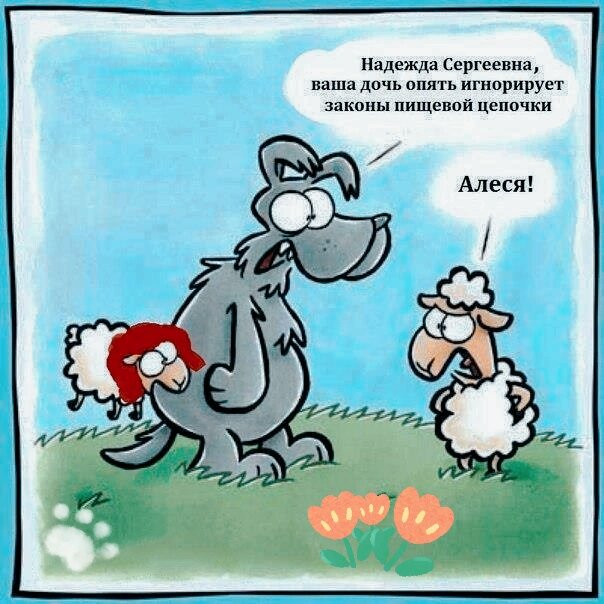 Фото из интернета в обработке автора