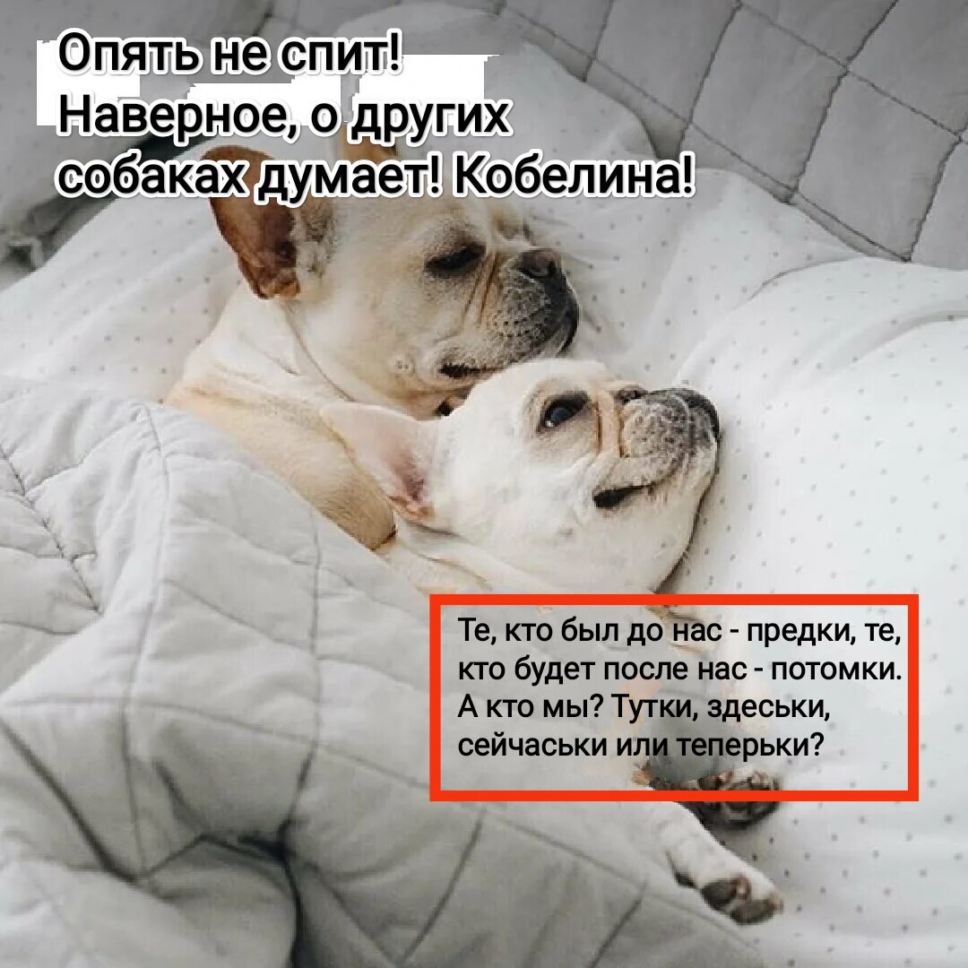 Фото в обработке автора. 