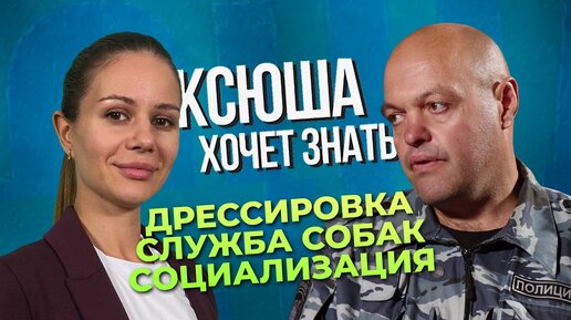 Профессия кинолог: особенности дрессировки служебных собак