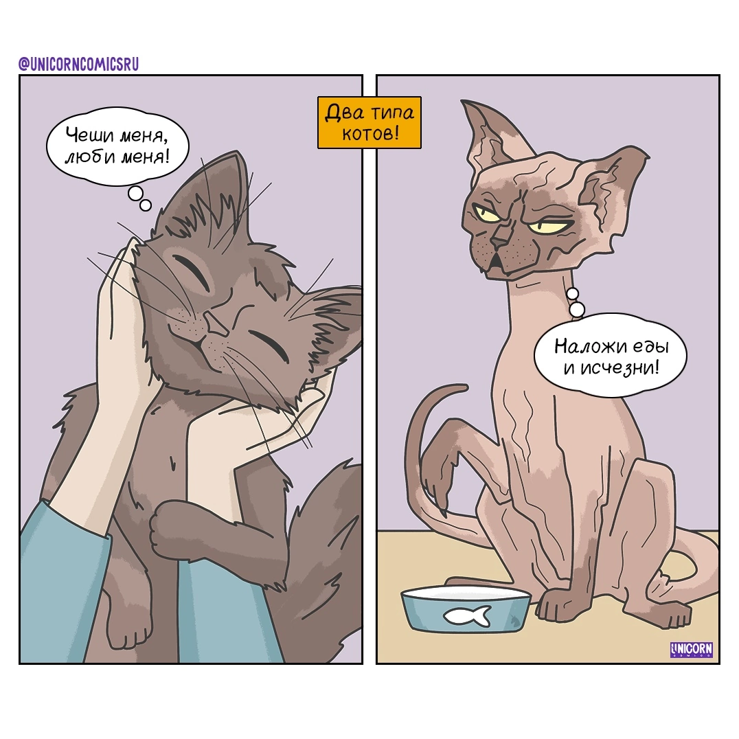 Стрип художницы UNICORN Comics Леры Lerin