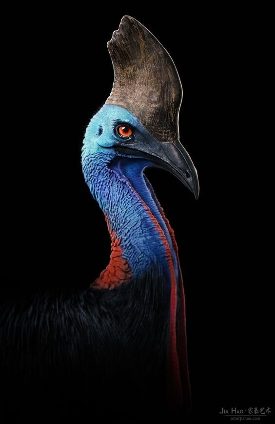 Большой Брат следит за тобой..