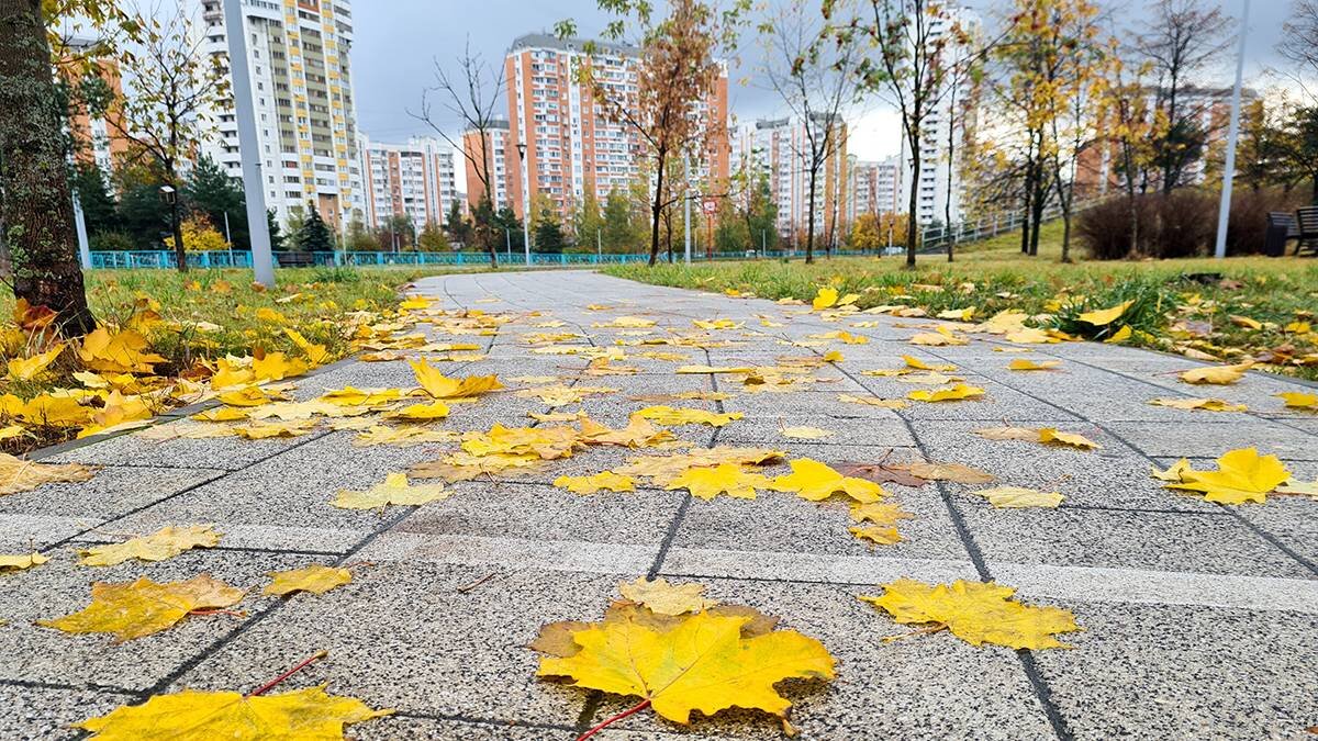    Фото: Мобильный репортер / АГН Москва