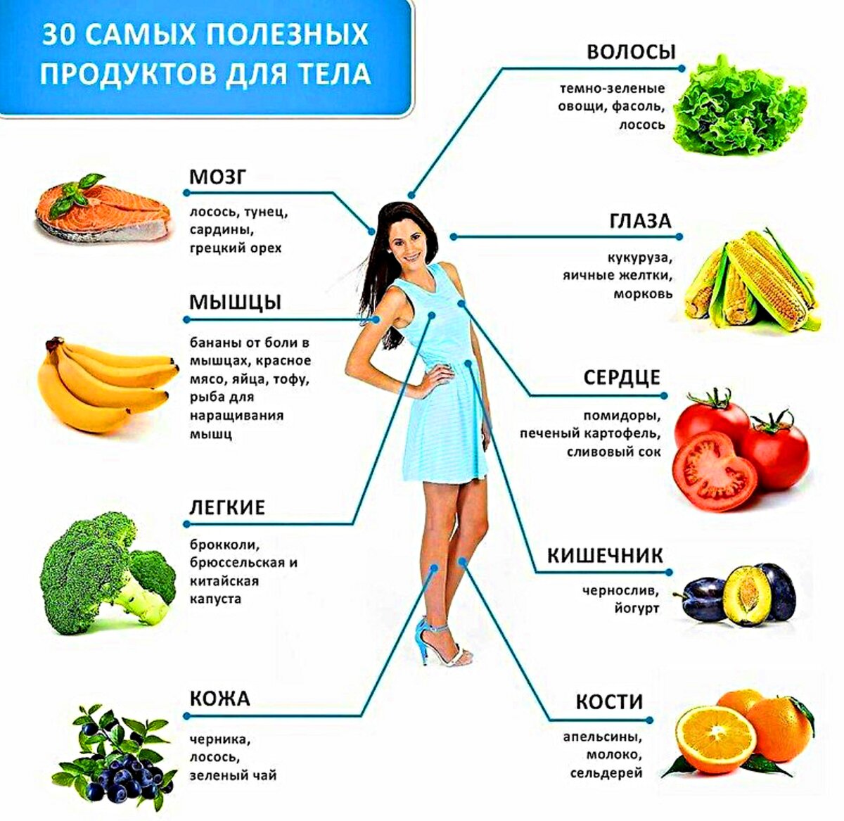 Помогают расти человеку