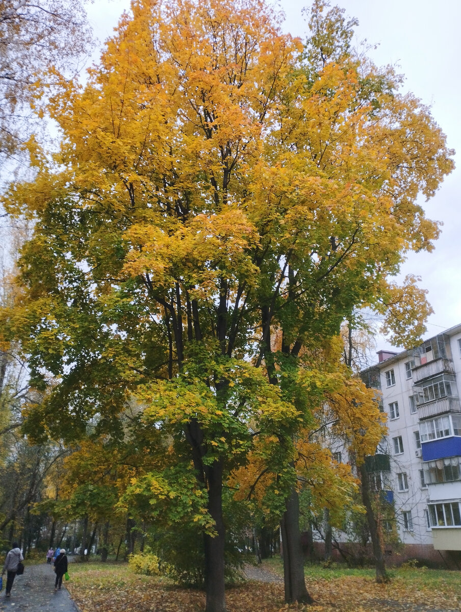 Личное фото автора