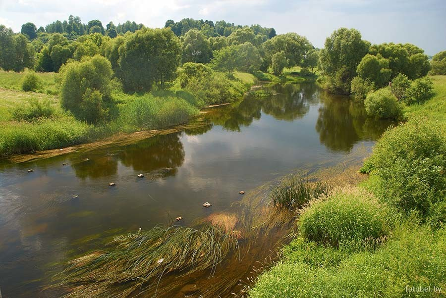 Смоленск теки река. Мстиславль река Вихра. Река Вихра в Смоленской области. Река СОЖ В Смоленской области. Река СОЖ Хиславичи.