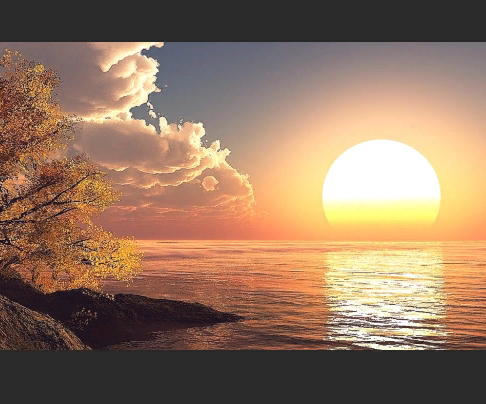 Взято из свободных источников. 