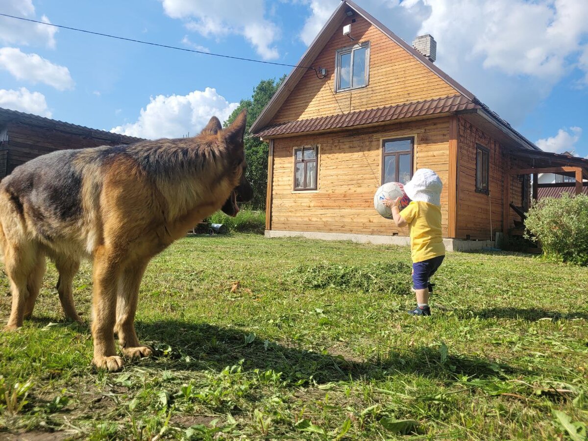 Наш дом в Ленинградской области