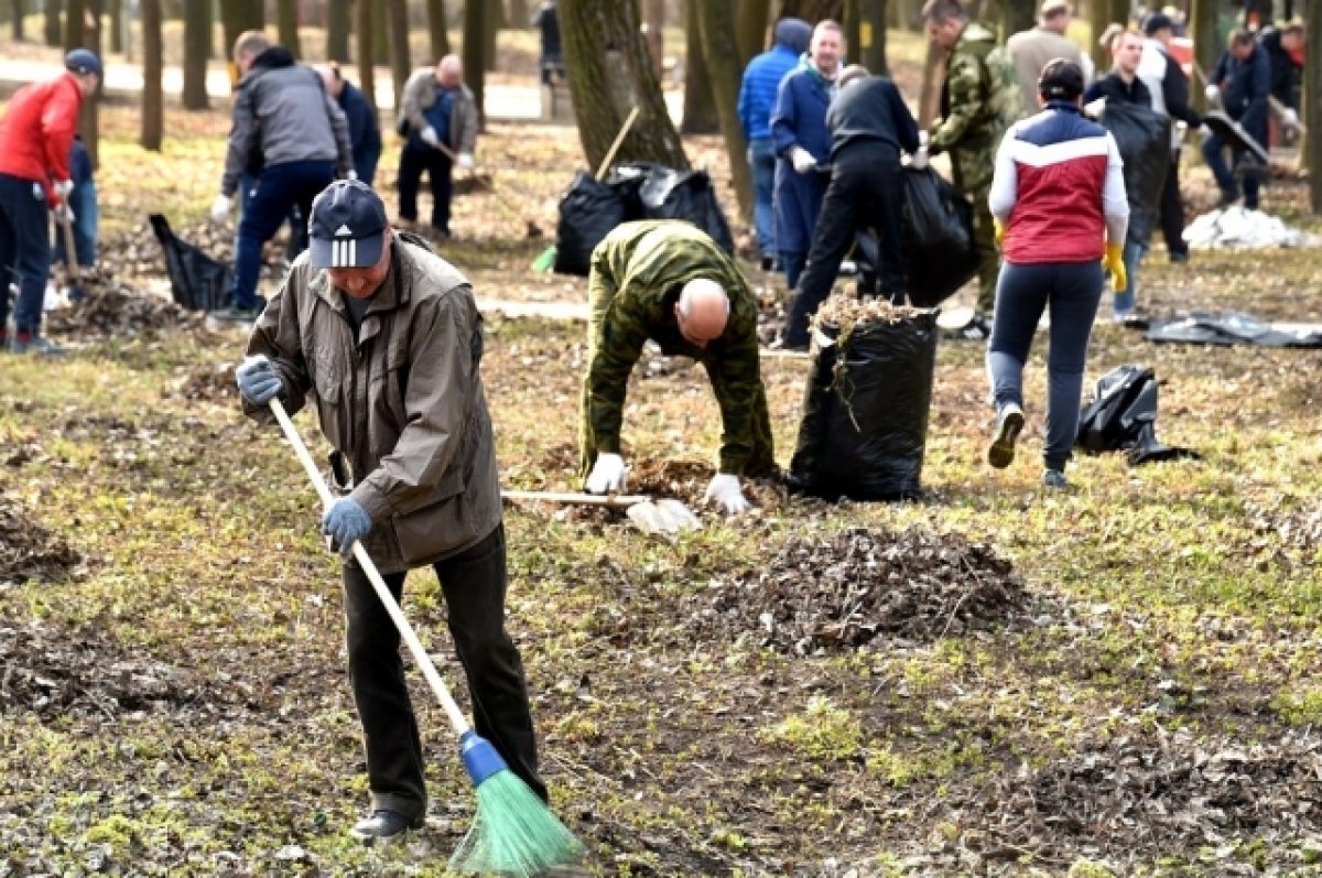    Во время субботника в Рязани жители собрали 15 тонн листвы