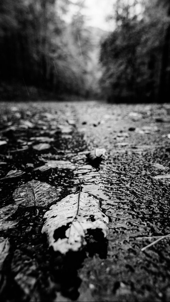 Фото из архива автора 