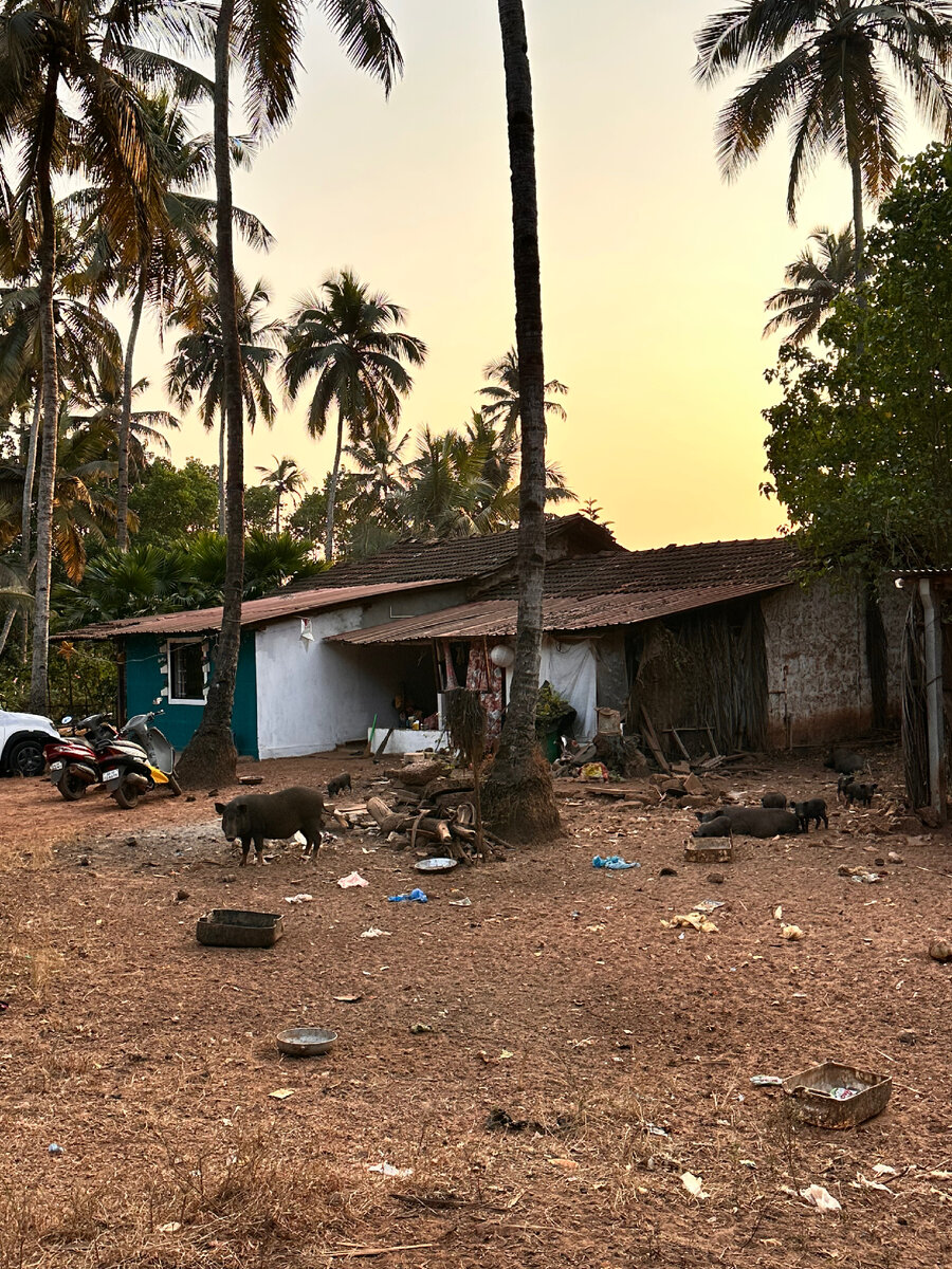 Снято мою в 2022 году. Живя тут я бы улыбалась не часто