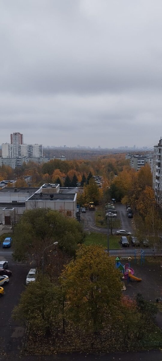 Осень в Ясенево. Фото осеннего Ясенево. Фото Битцевского парка.