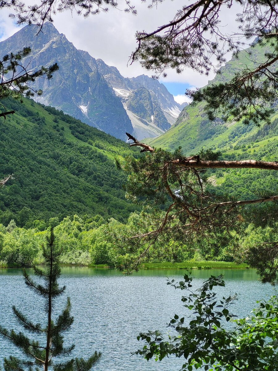 Пейзажи.