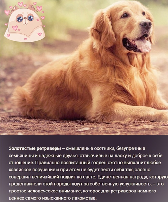 Скриншот в обработке автора.