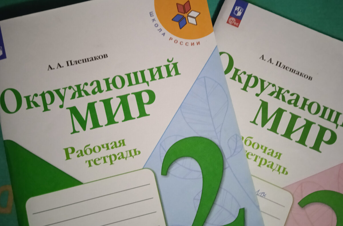 Чем раздражает родителей учебник по Окружающему миру Плешакова? | Капуча -  про образование | Дзен