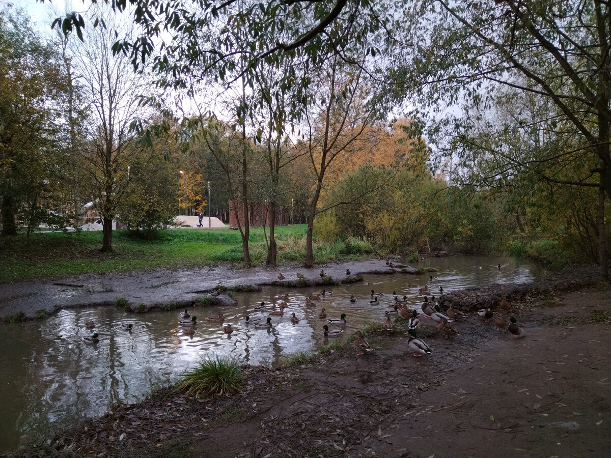 Фото автора 