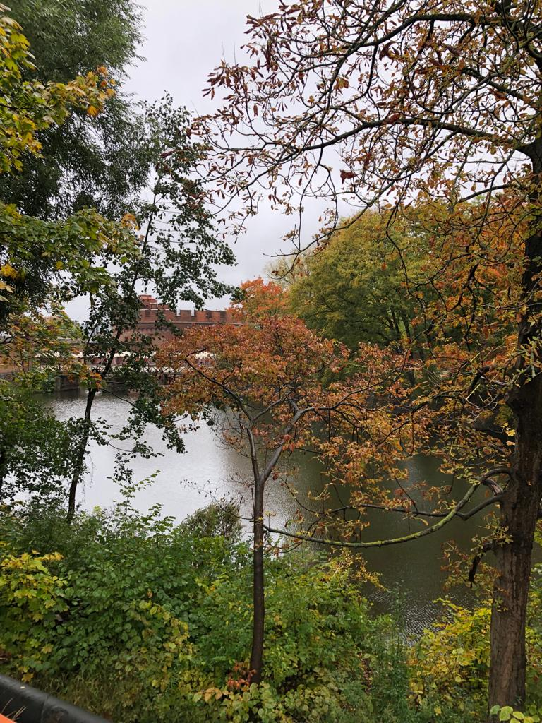 Музей Янтаря прячется в кустах на берегу Верхнего пруда
