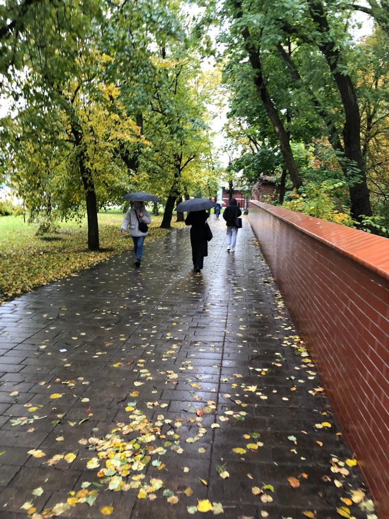 Фото Калининграда. Набережная Верхнего пруда. Музей Янтаря остался за спиной. Осень в Калининграде. 