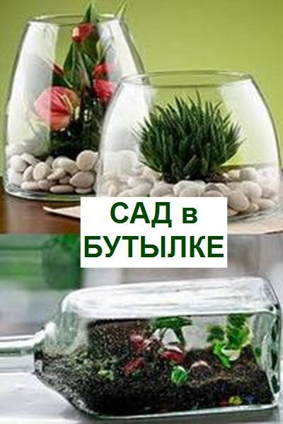 Флорариумы. Сад в бутылке, аквариуме. Банка с цветами.