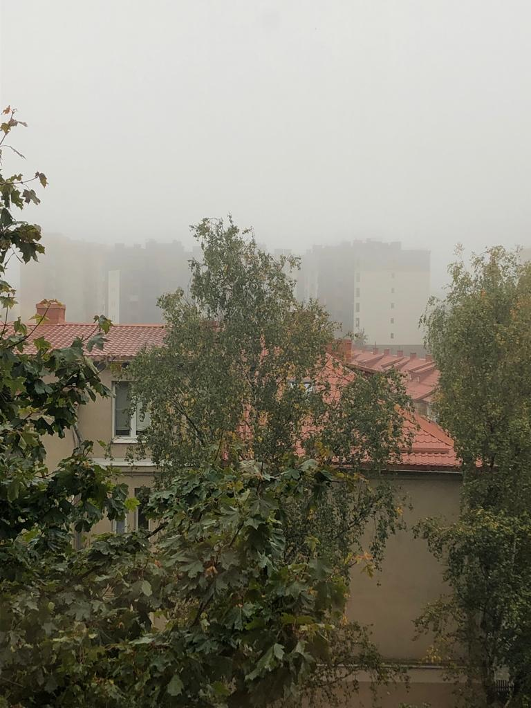 Фото осеннего Калининграда. Калининград осень. Осенний Калининград.