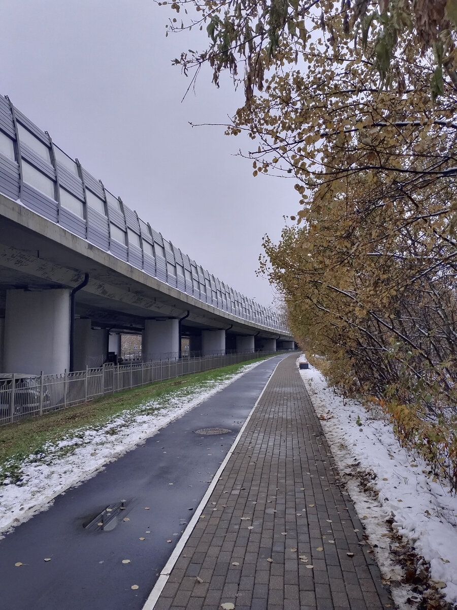 Одна из дорожек в парке