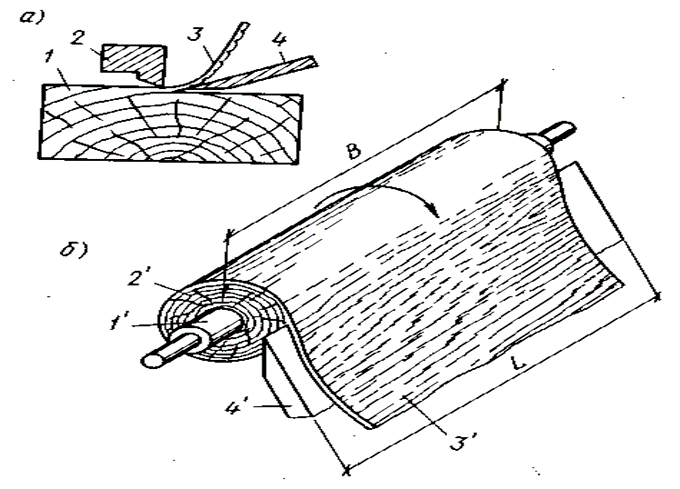 Технология производства строганного шпона