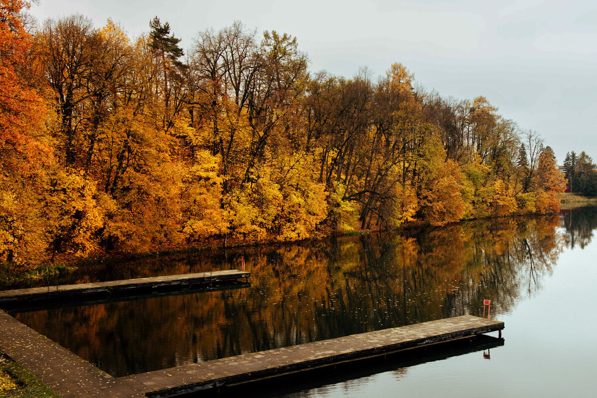 Московская область, усадьба Марфино или санаторий Марфинский. Лодочная станция на Нижнем пруду. Фото ph_zakharenkova октябрь 2023