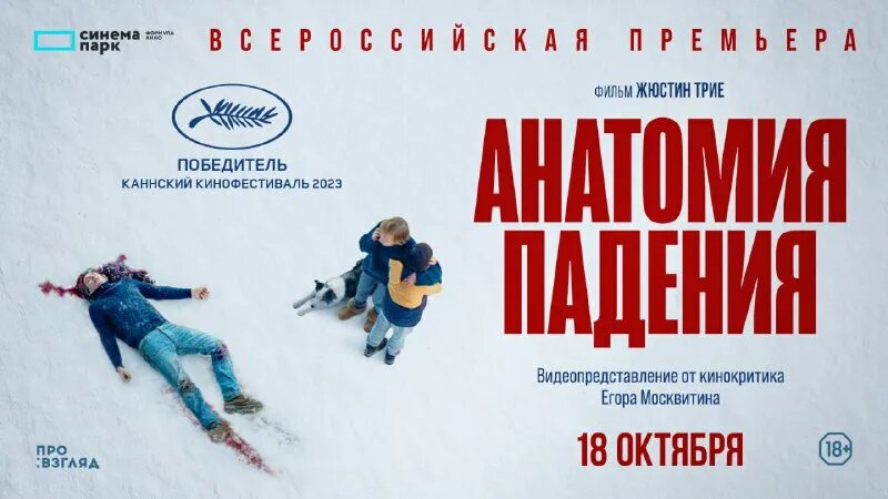 Постер к фильму "Анатомия падения".