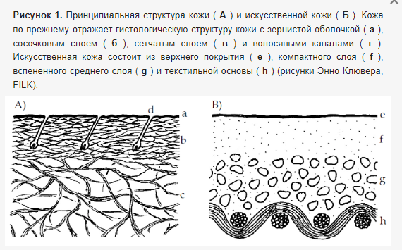 Структурная разница между натуральной кожей (А) и исскуственной эко-кожей (B).