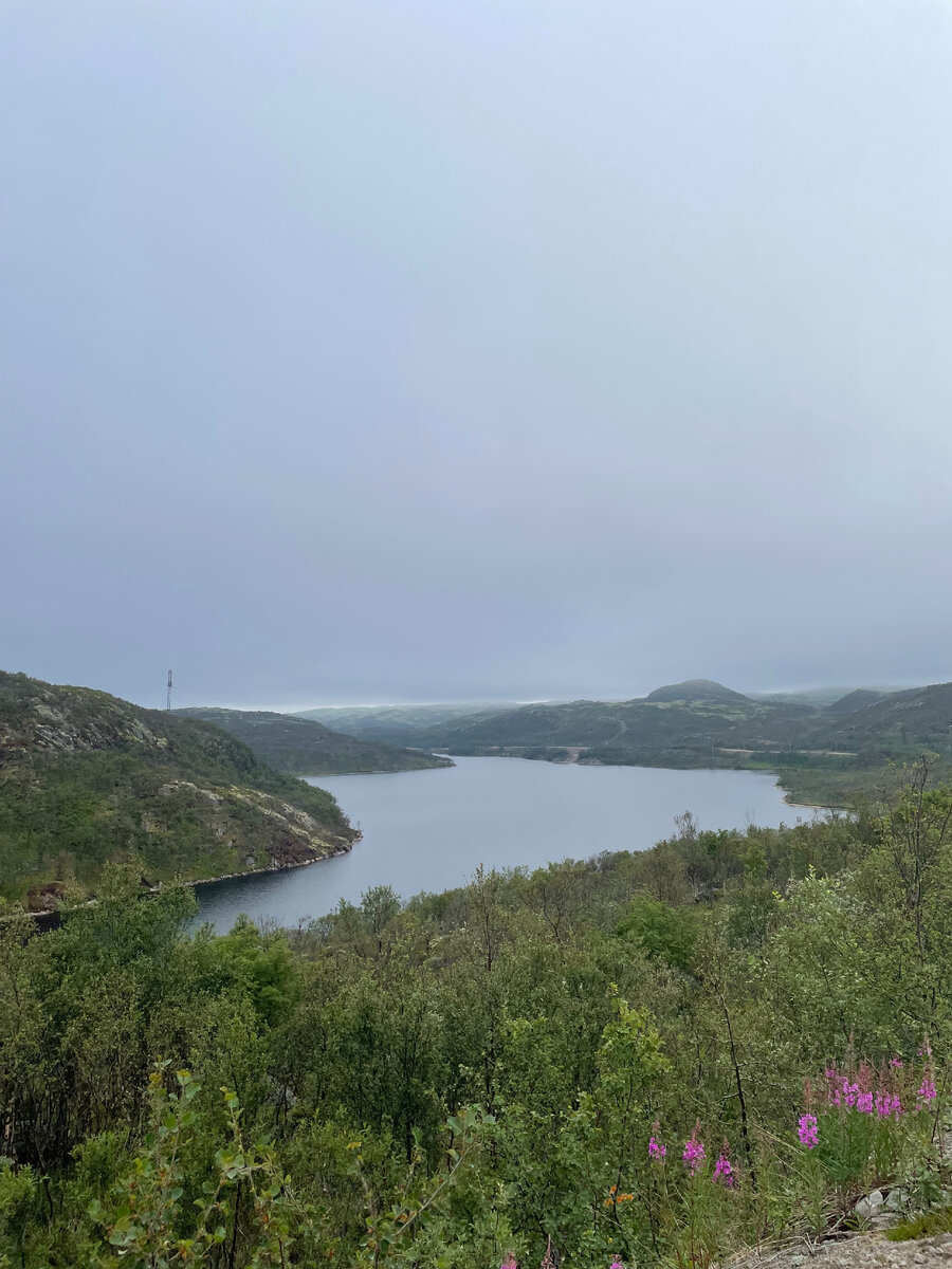 Тундра