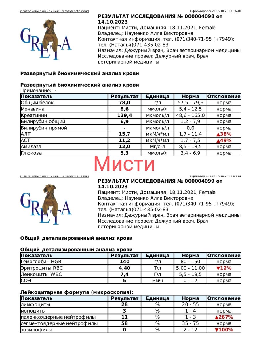 Каждодневные приключения волонтера с котами, которые стали | Блог  #Мими_кися | Дзен