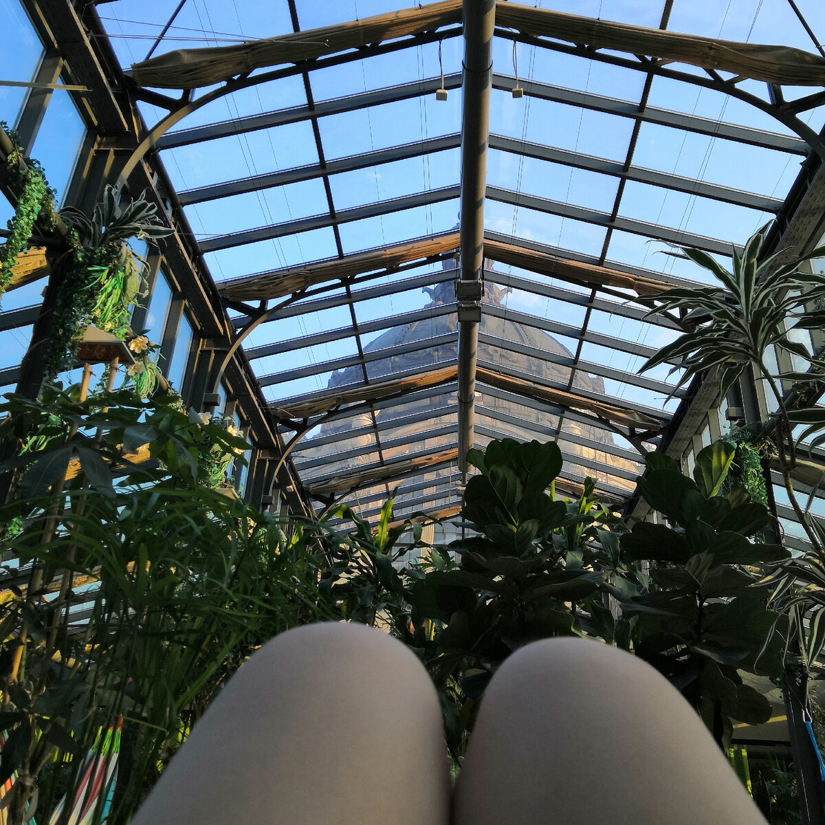 На фото вы можете наблюдать стертые до колен ноги и попытка отрастить новые в целебных купальнях.