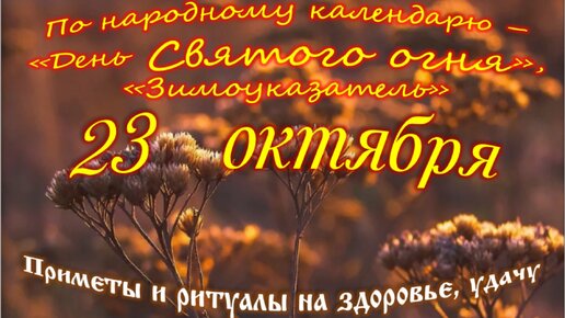 Как оптимизировать время в транспорте?