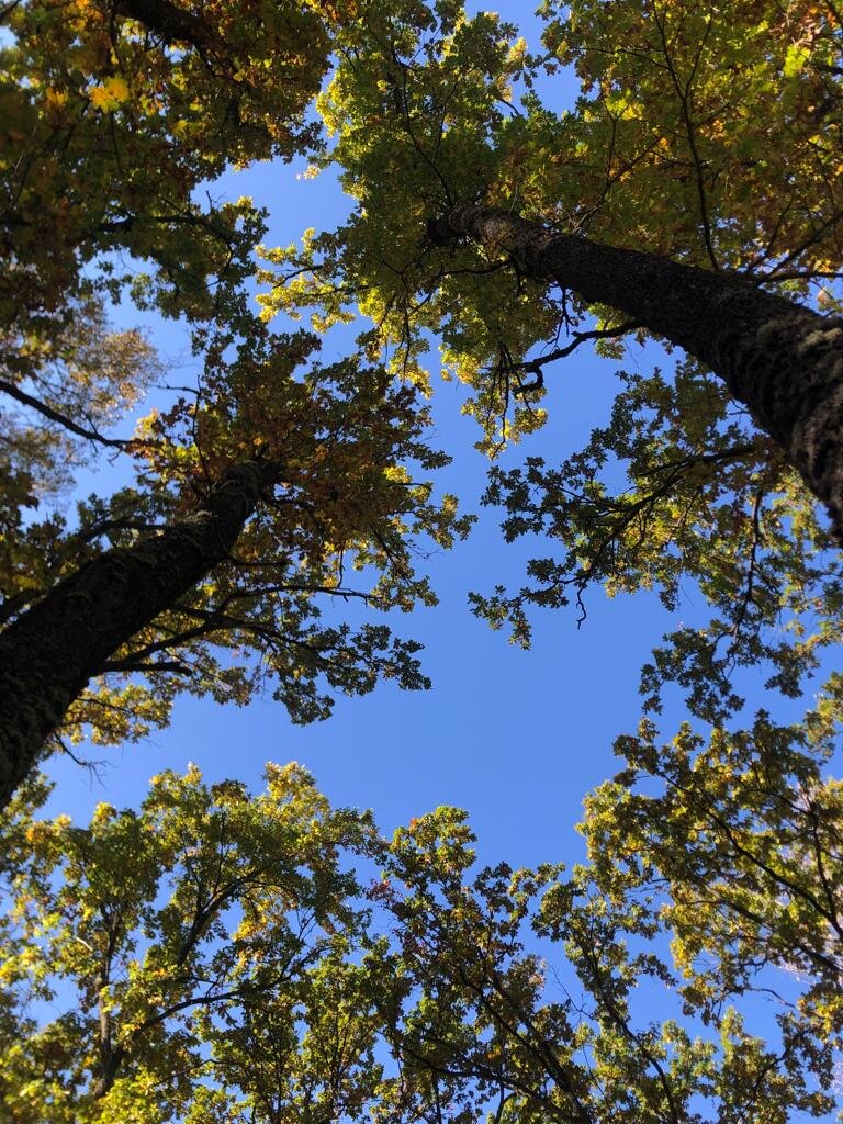 Фото подруги