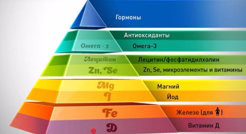 Фото взято из интернета