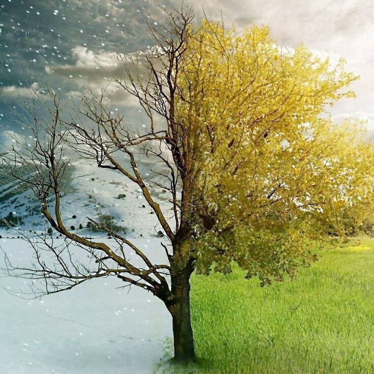 Из интернета