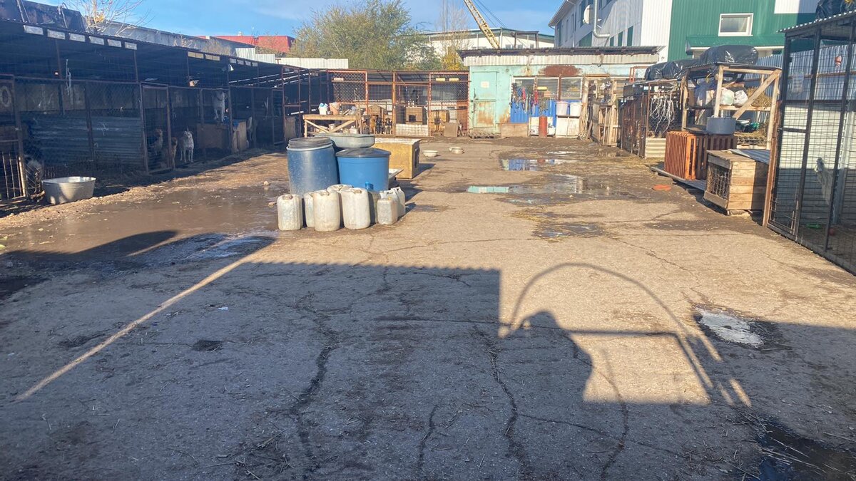 Воскресенье, 9 утра. Приятно посмотреть, не то что вчера. Даже глаз не дëргается😁