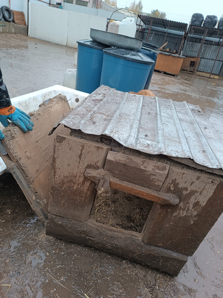 Сырость сделала своё дело