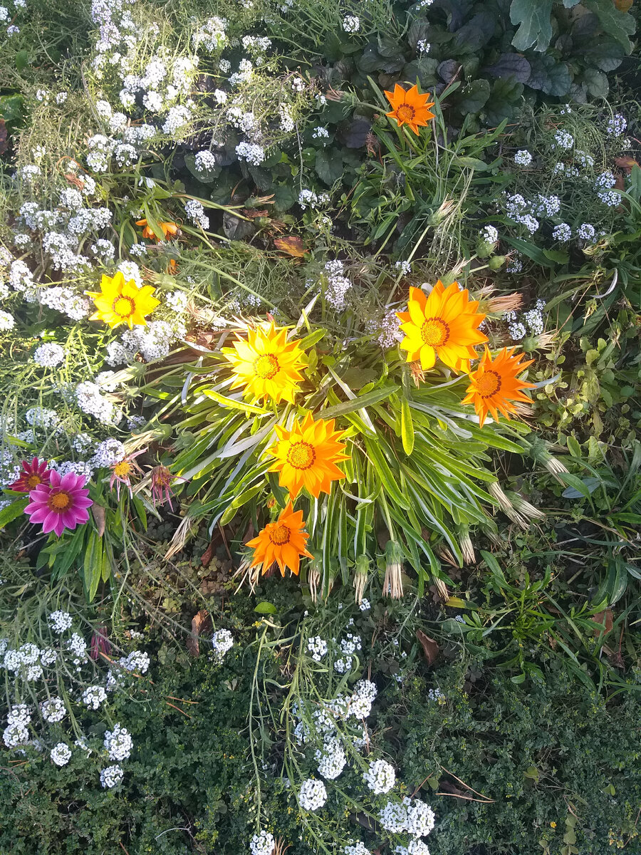 Краски осени)