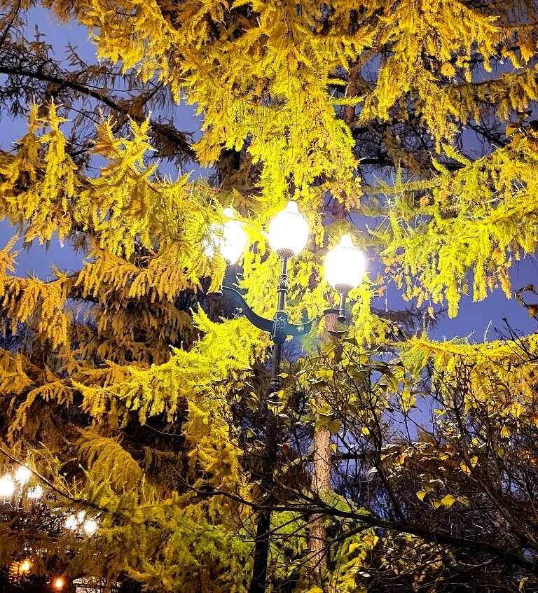 Фото принадлежит автору канала.