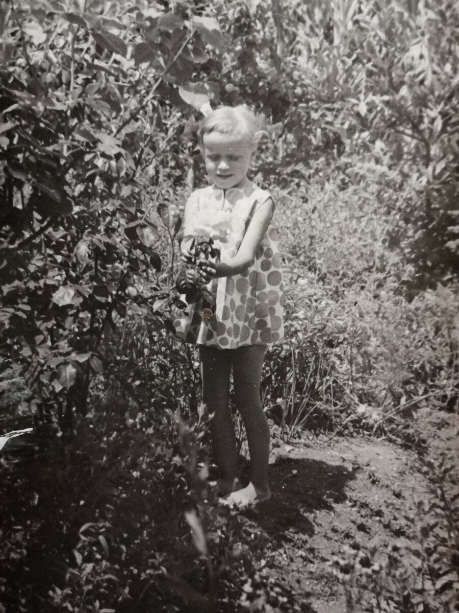 Это я или в то лето, о котором рассказываю, или на год позже. В огороде у хозяйки, которая сдавала нам жильё. Чёлку стригла сама. Любила стричь в детстве - себя, игрушки, занавески полотенца...