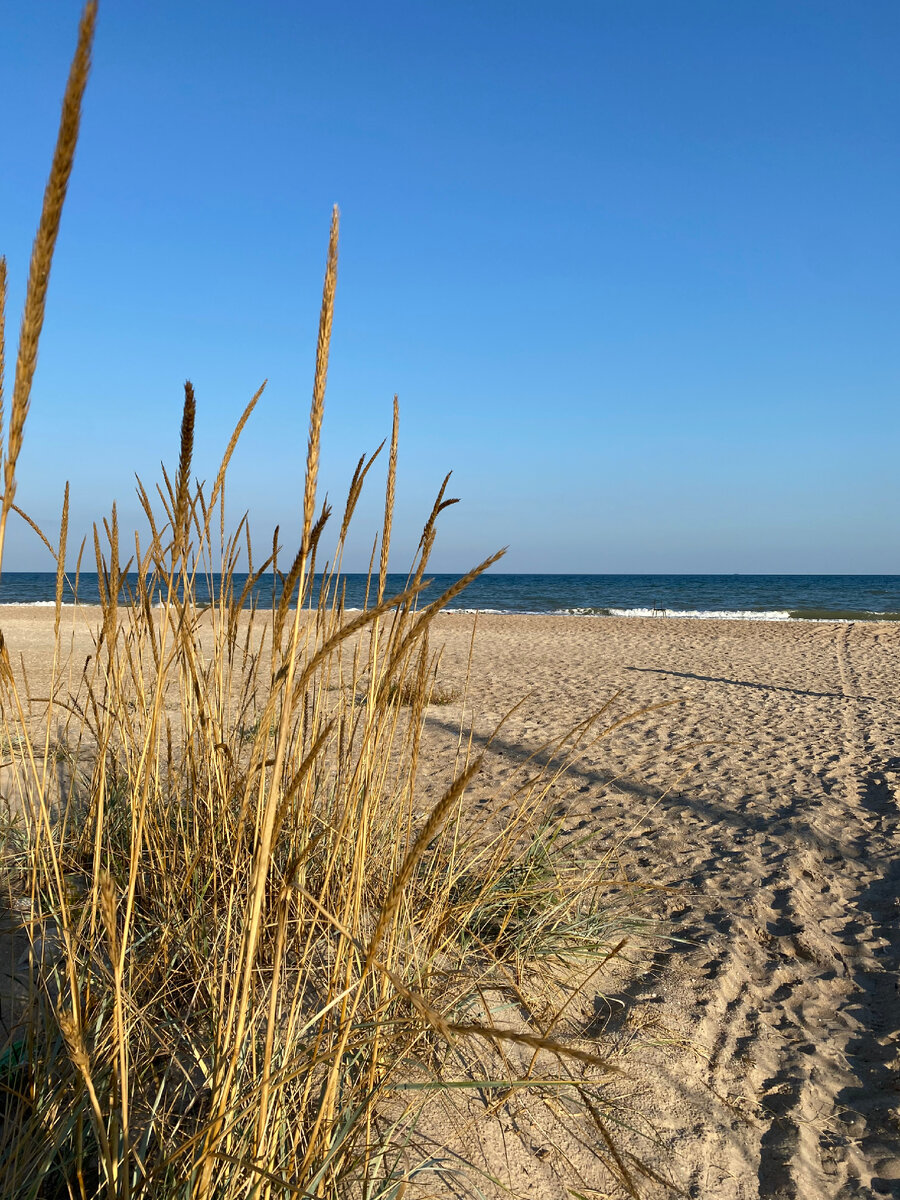 Азовское море