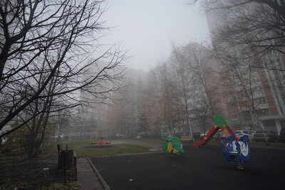    Густой туман в Москве ©Пелагия Тихонова РИАМО