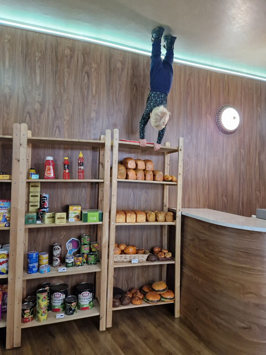 Гришка в Перевёрнутом городе