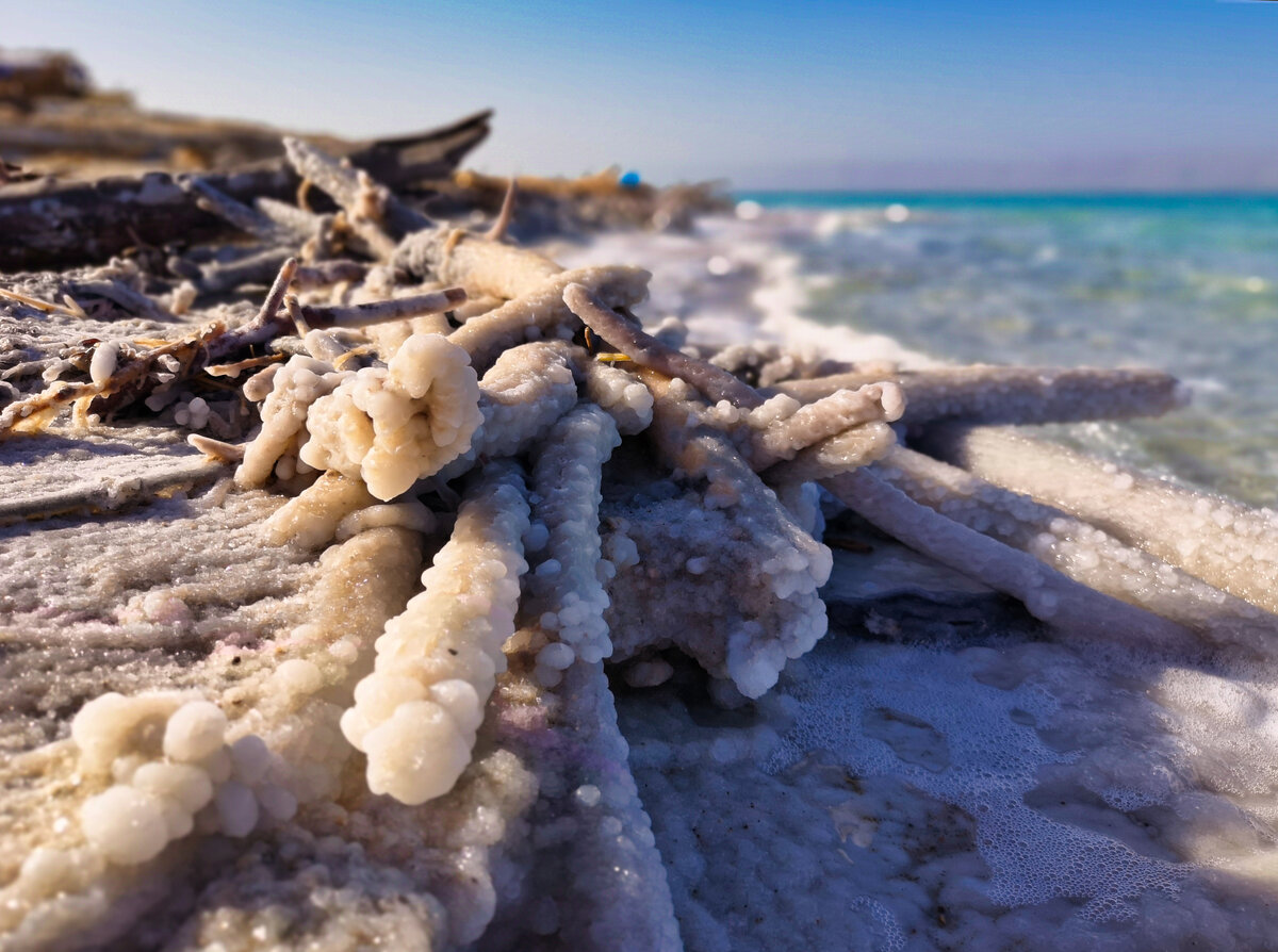 Какую правду не говорят о Мертвом море? Ожидания и реальность | Жизнь в ...