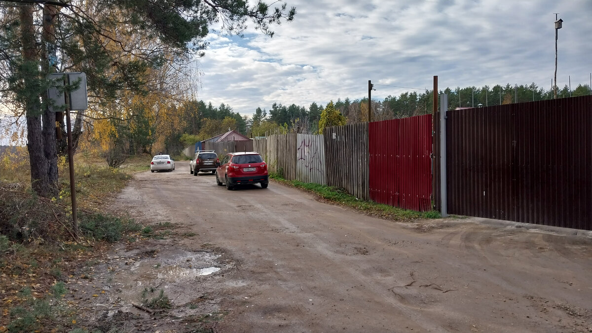 Лужи и первый лёд осени-2023. Дорога от станции Рекшино к лесу