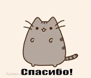 Куда же без котика))) 