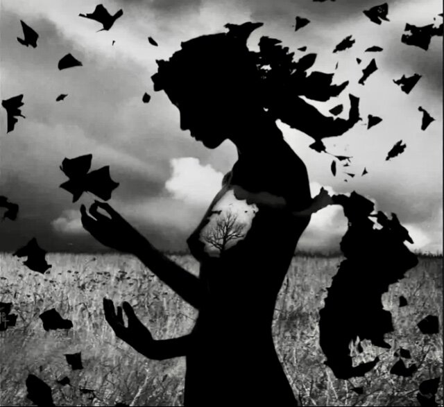 Картинка из интернета 